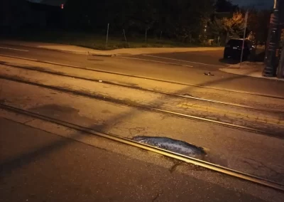 Roadside Assistance (1)